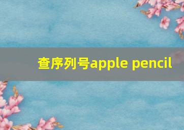 查序列号apple pencil